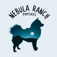 Nebula Ranch Pomskies 
